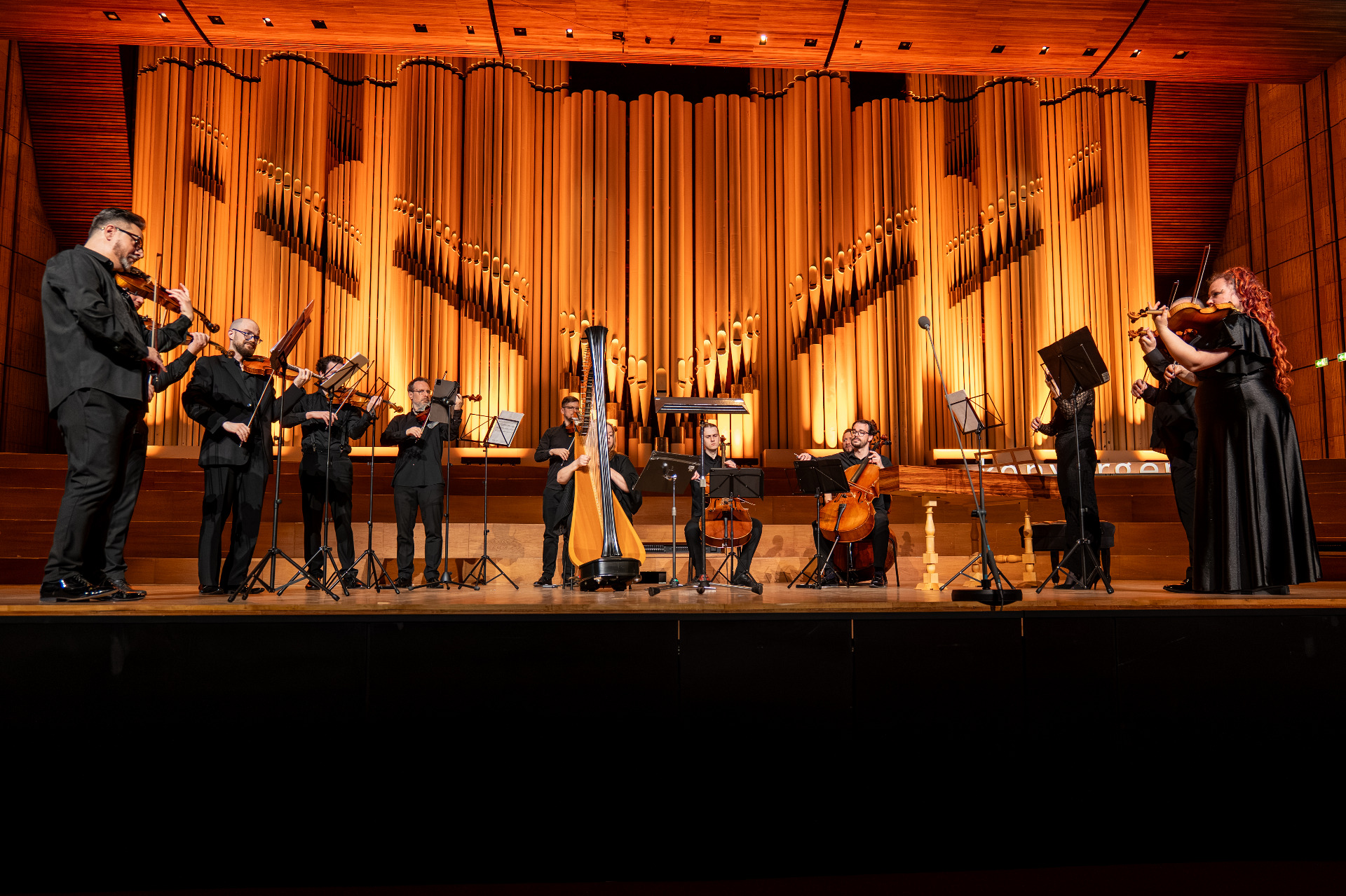 Hilaris Chamber Orchestra hrá Emmeleiu. Foto: Jarmila Uhlíková